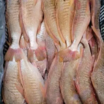 Mitkä piilotetut muuttujat muuttavat Premium Frozen Yellow Croaker Whole Round -arvoa?