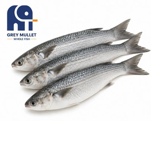 Korkealaatuinen pakastettu harmaa mullet kokonainen kala