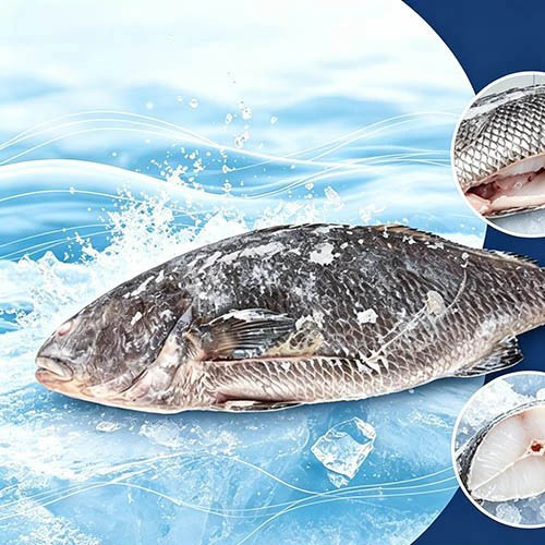 Ravintoaine Frozen Brown Croaker perattu