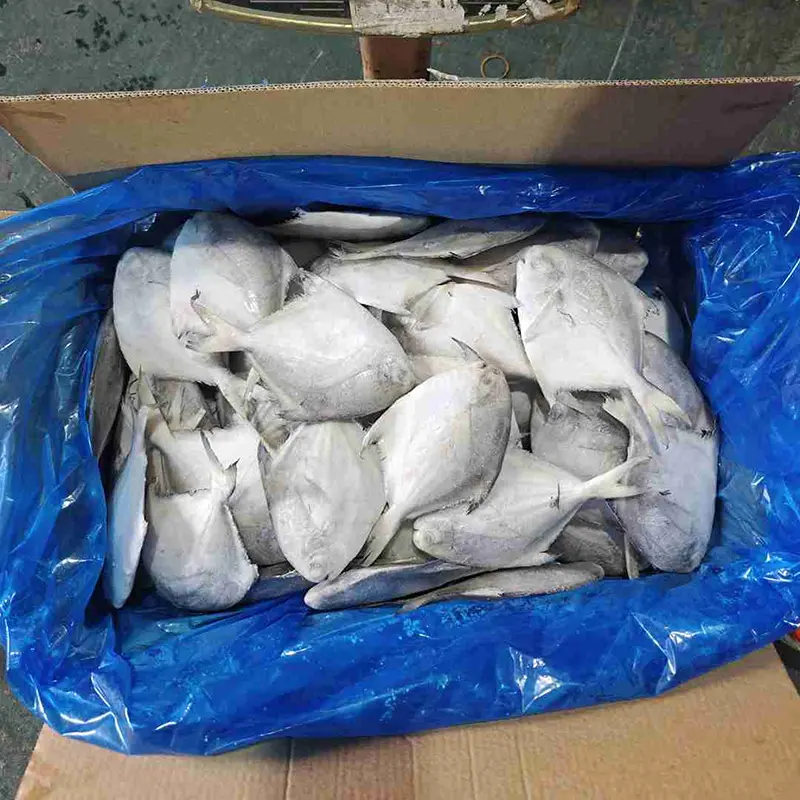 Premium Carton White Pomfret koko pyöreä