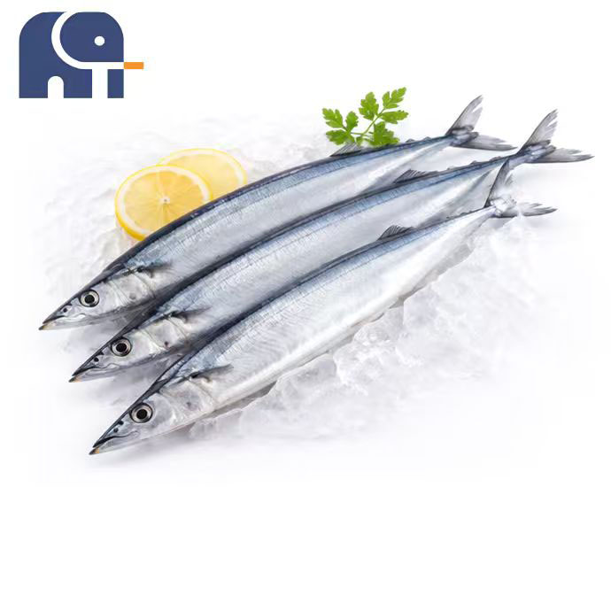 Winter Frozen Pacific Saury Koko kierros